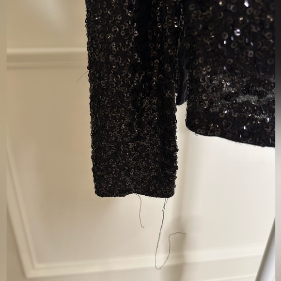 J. Crew Long Sleeve Sequin Blouse Shirt - Picture 4 of 9